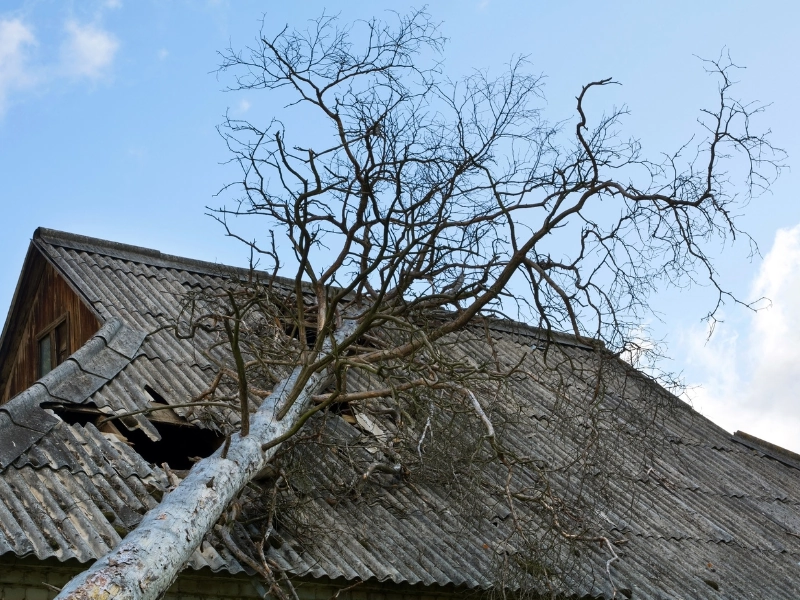 Fuite de toiture : que faire en urgence ?